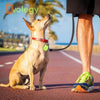 PetTrack™  - Bluetooth en GPS Tracker