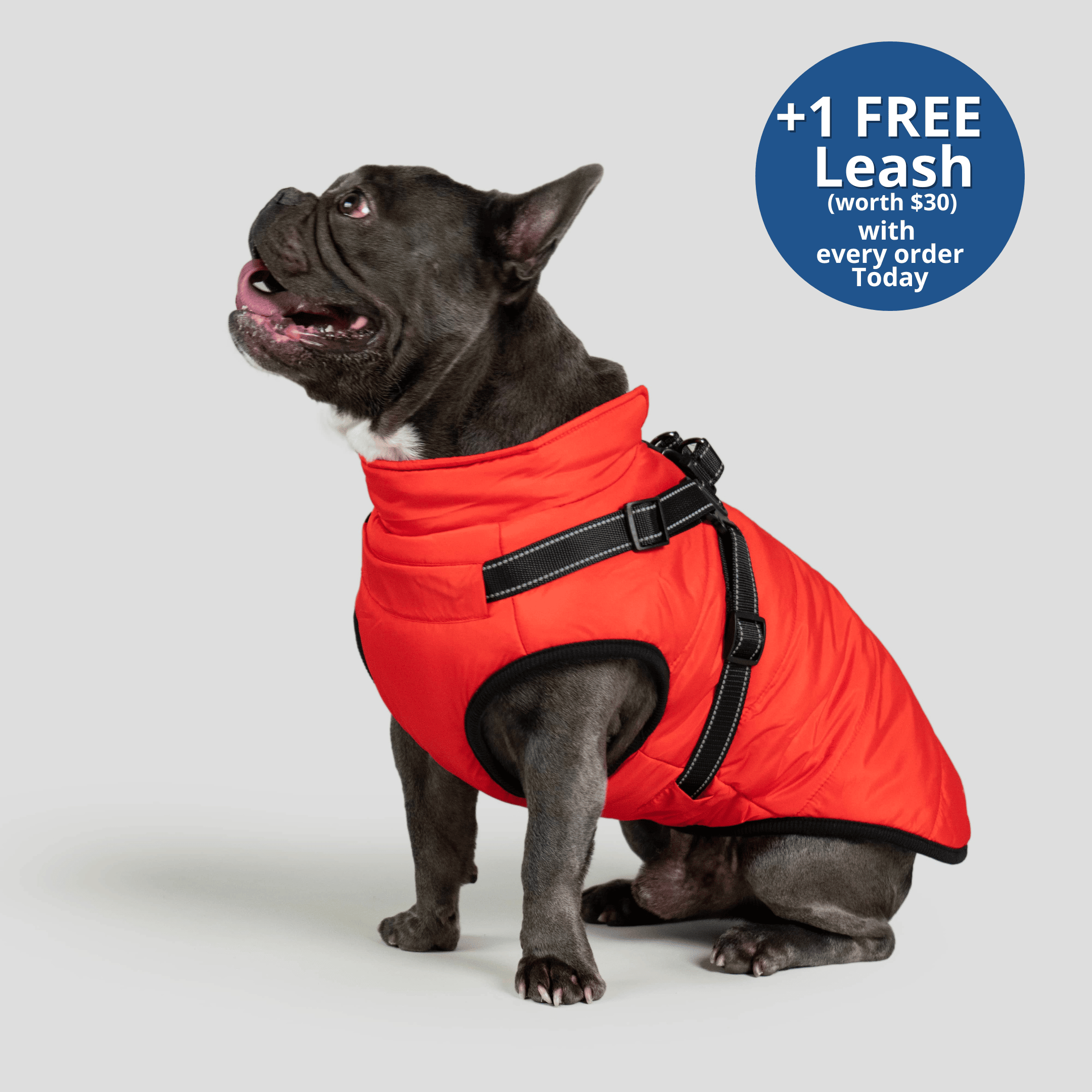 PoochBark™ 3 in 1 Winter Jacket (+1 FREE Leash)