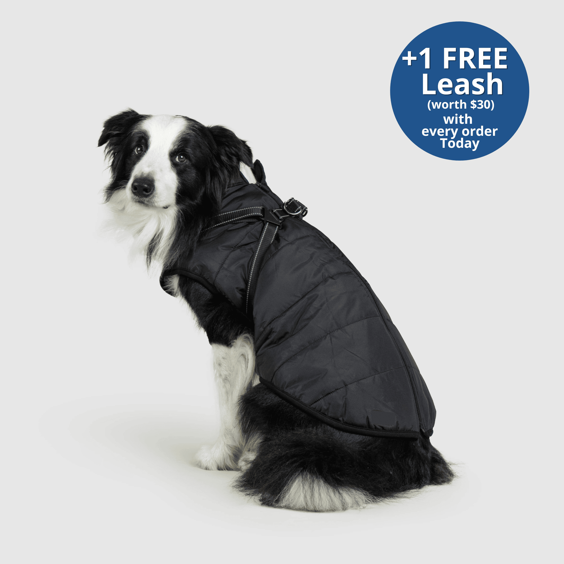 PoochBark™ 3 in 1 Winter Jacket (+1 FREE Leash)