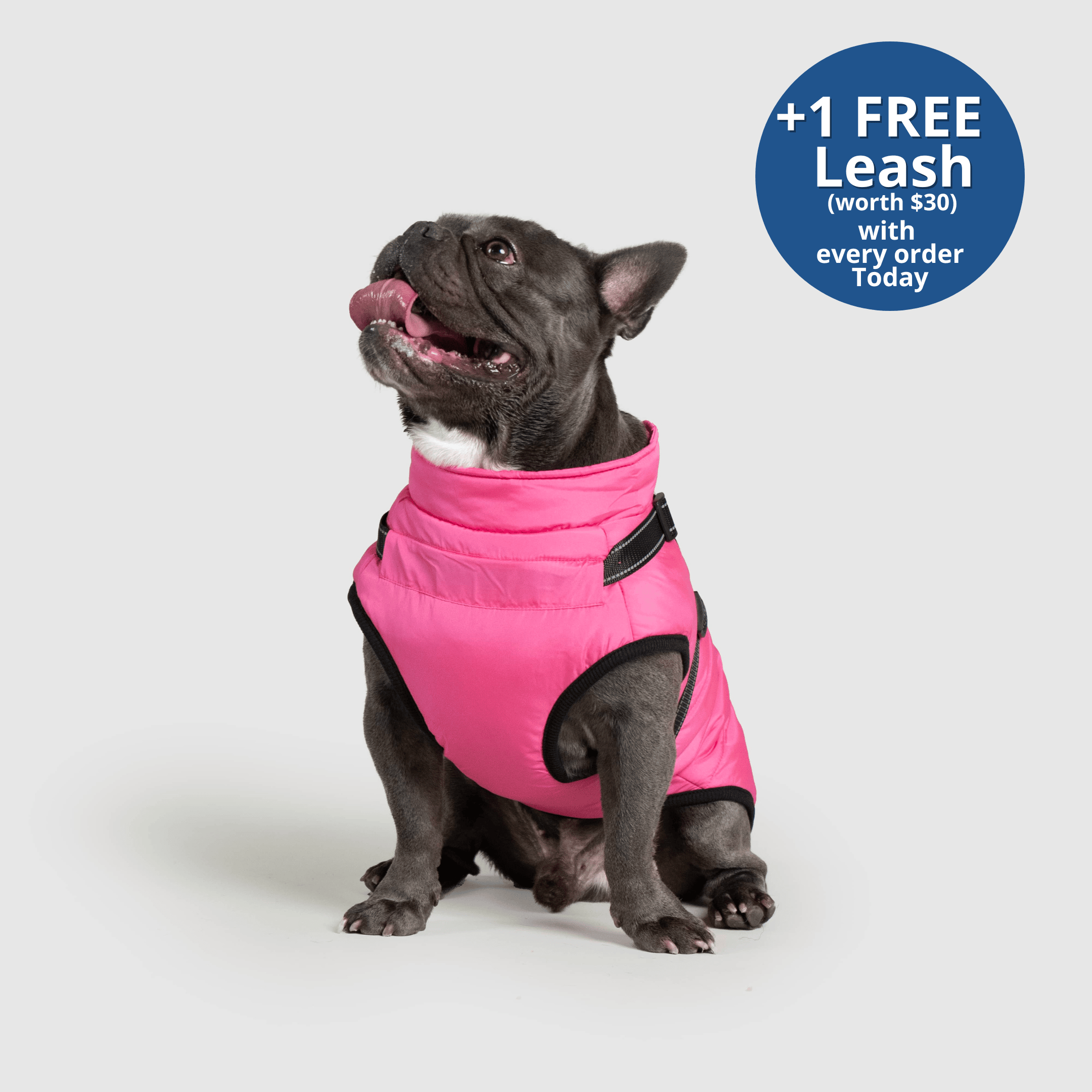 PoochBark™ 3 in 1 Winter Jacket (+1 FREE Leash)