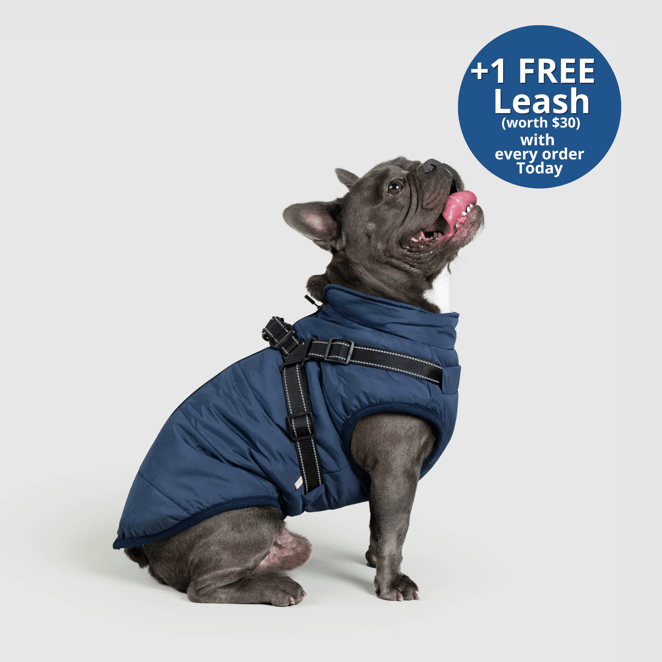 PoochBark™ 3 in 1 Winter Jacket (+1 FREE Leash)