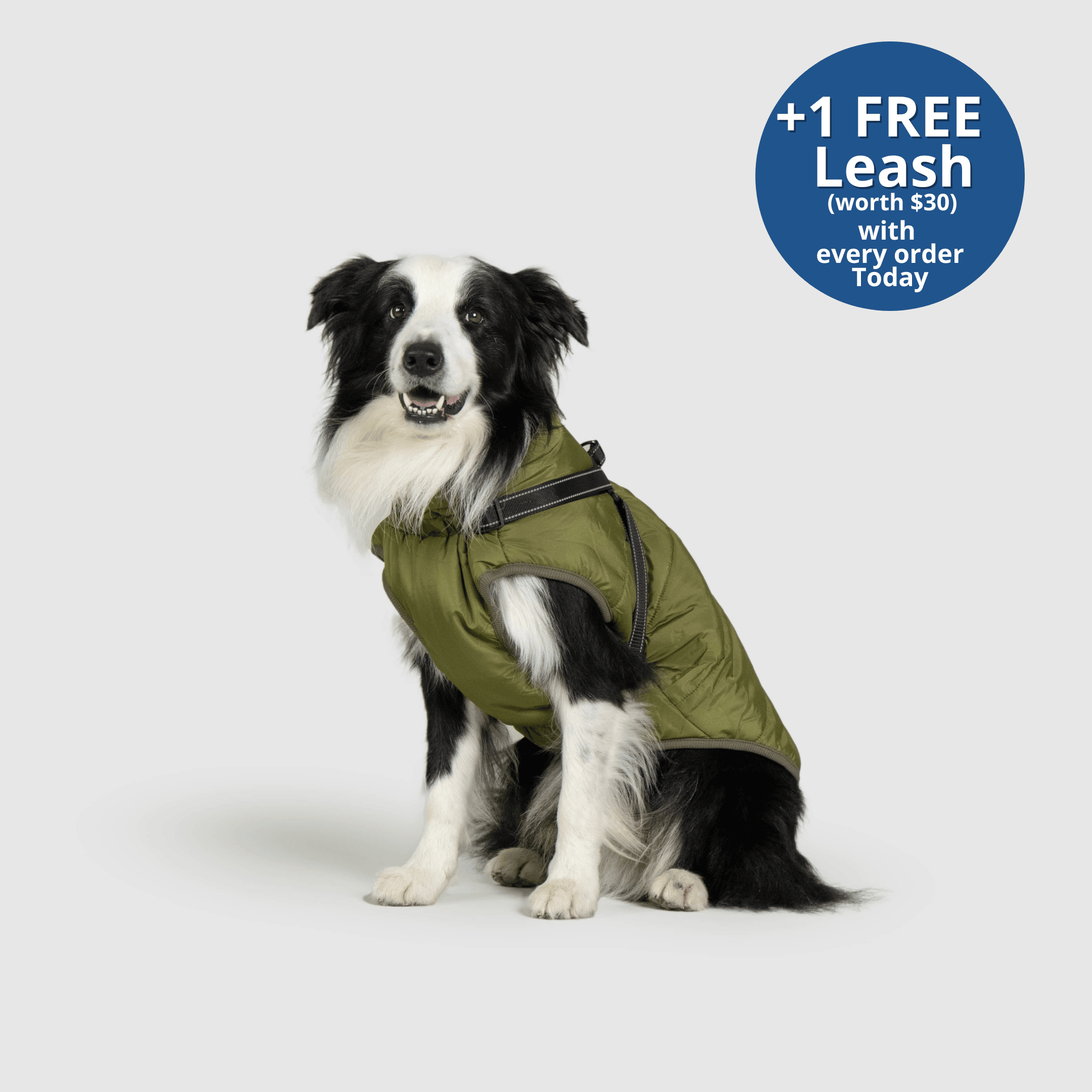 PoochBark™ 3 in 1 Winter Jacket (+1 FREE Leash)