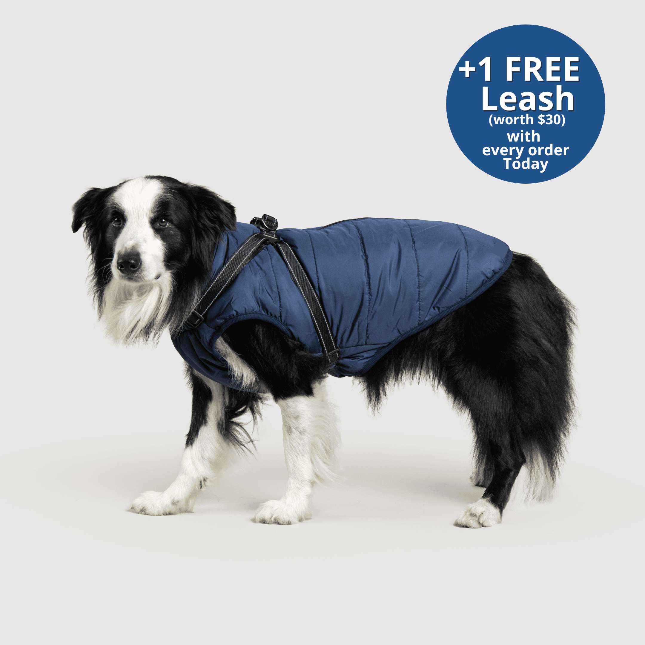 PoochBark™ 3 in 1 Winter Jacket (+1 FREE Leash)