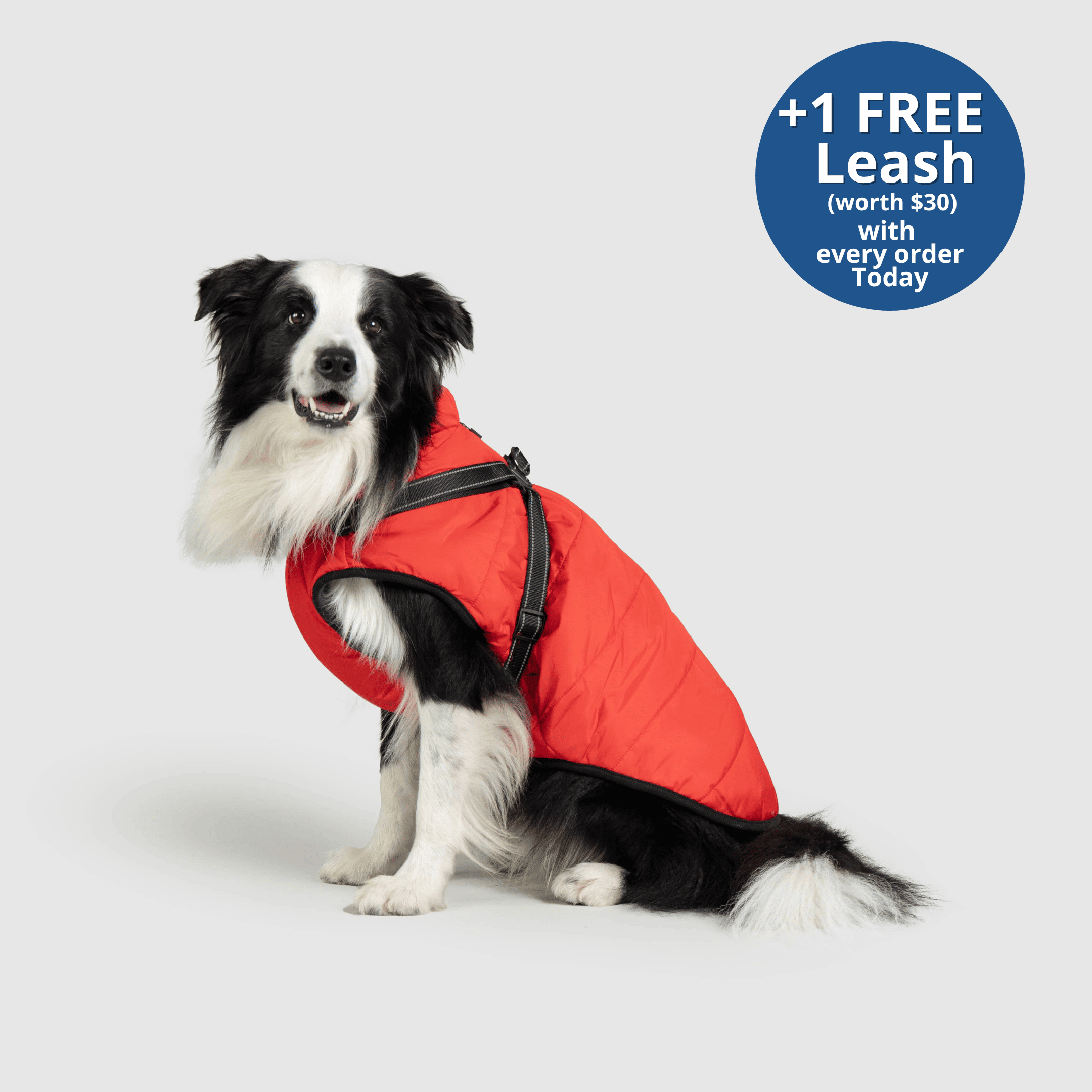 PoochBark™ 3 in 1 Winter Jacket (+1 FREE Leash)