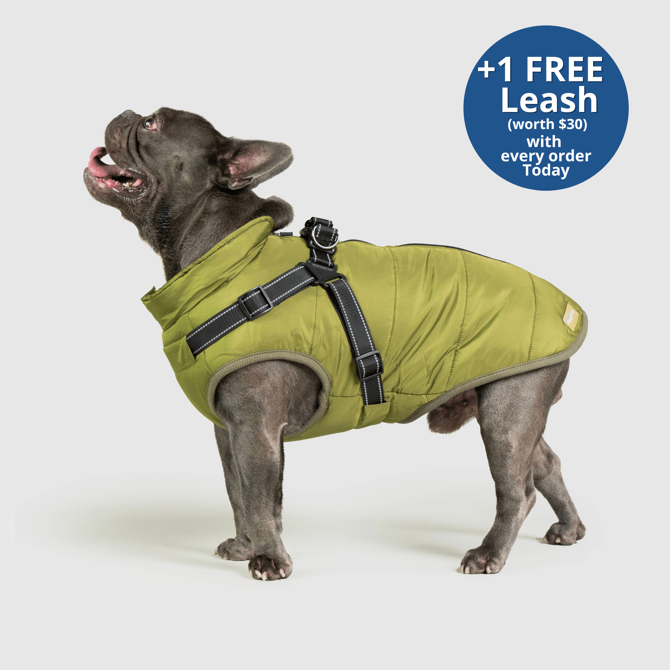 PoochBark™ 3 in 1 Winter Jacket (+1 FREE Leash)