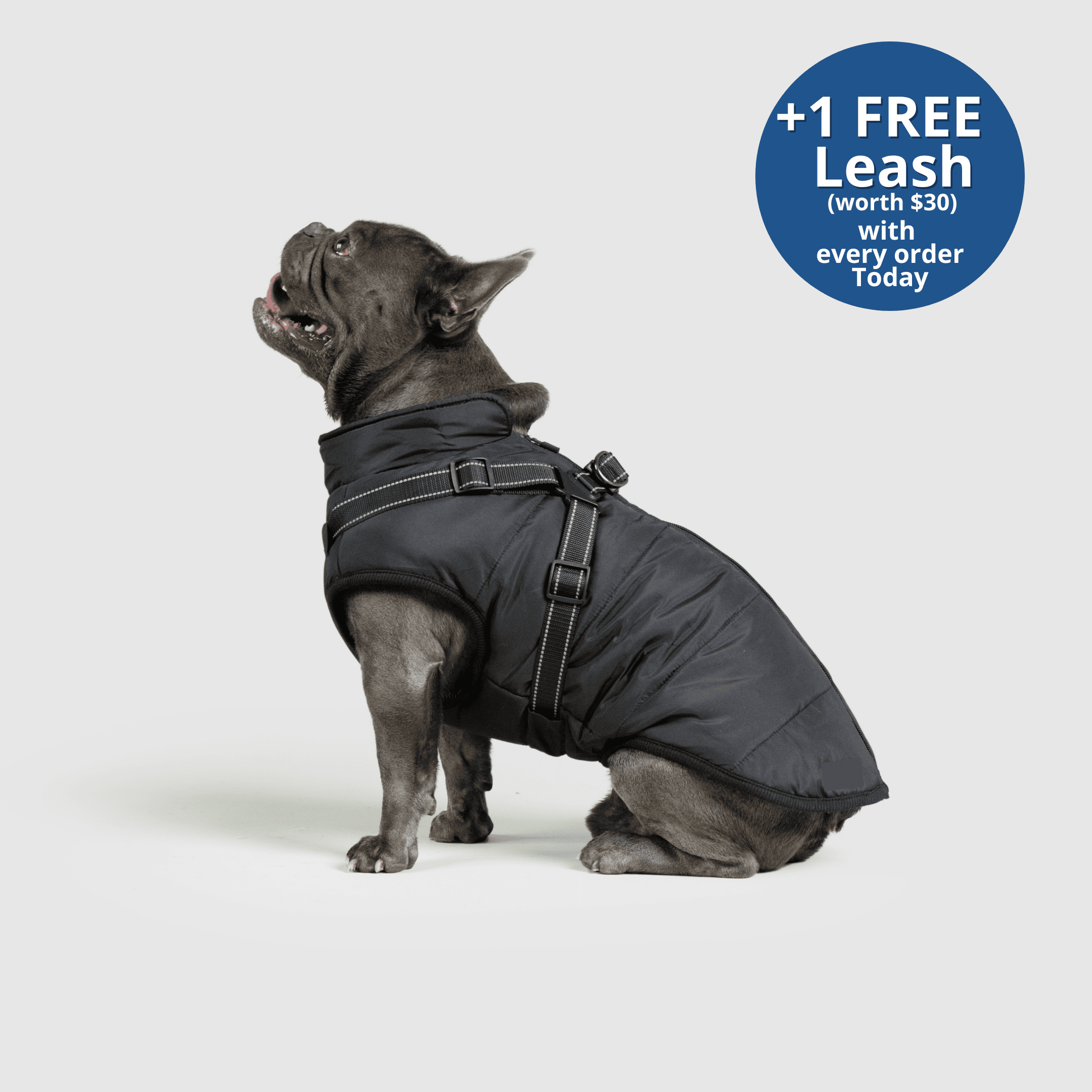 PoochBark™ 3 in 1 Winter Jacket (+1 FREE Leash)