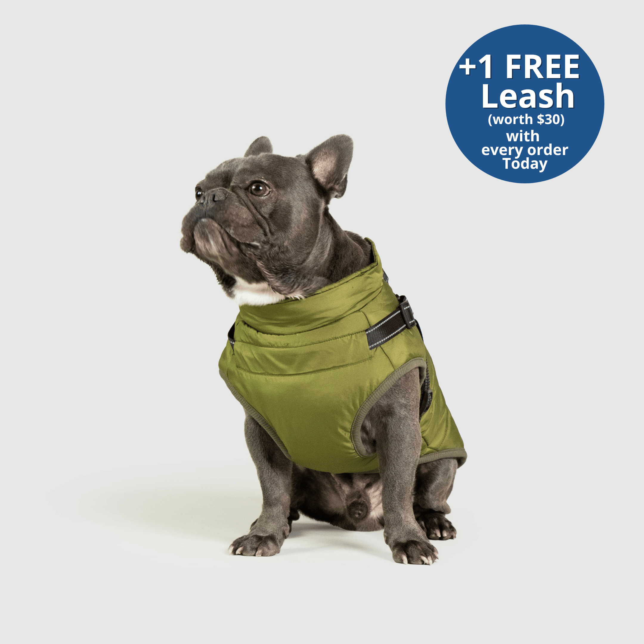 PoochBark™ 3 in 1 Winter Jacket (+1 FREE Leash)