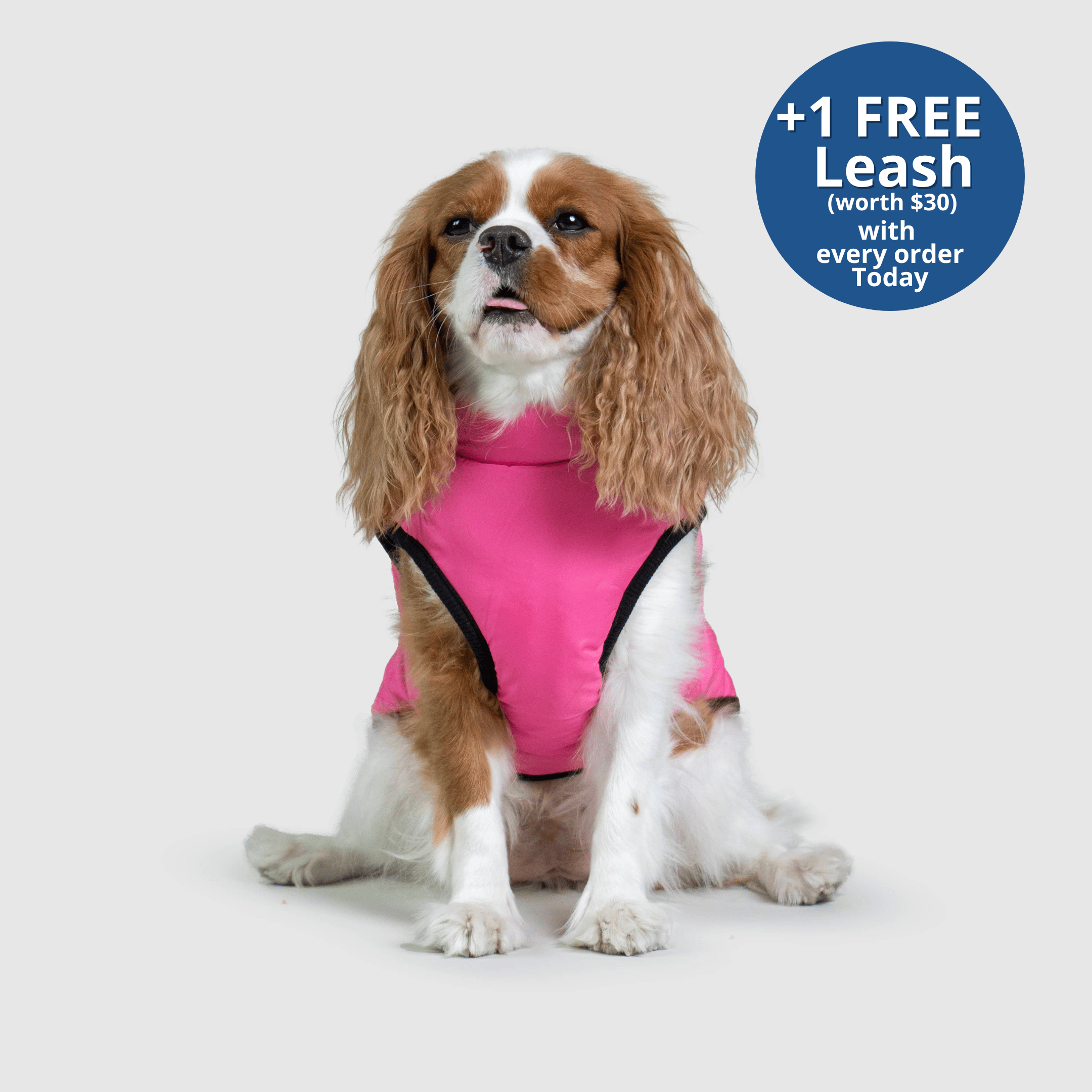 PoochBark™ 3 in 1 Winter Jacket (+1 FREE Leash)