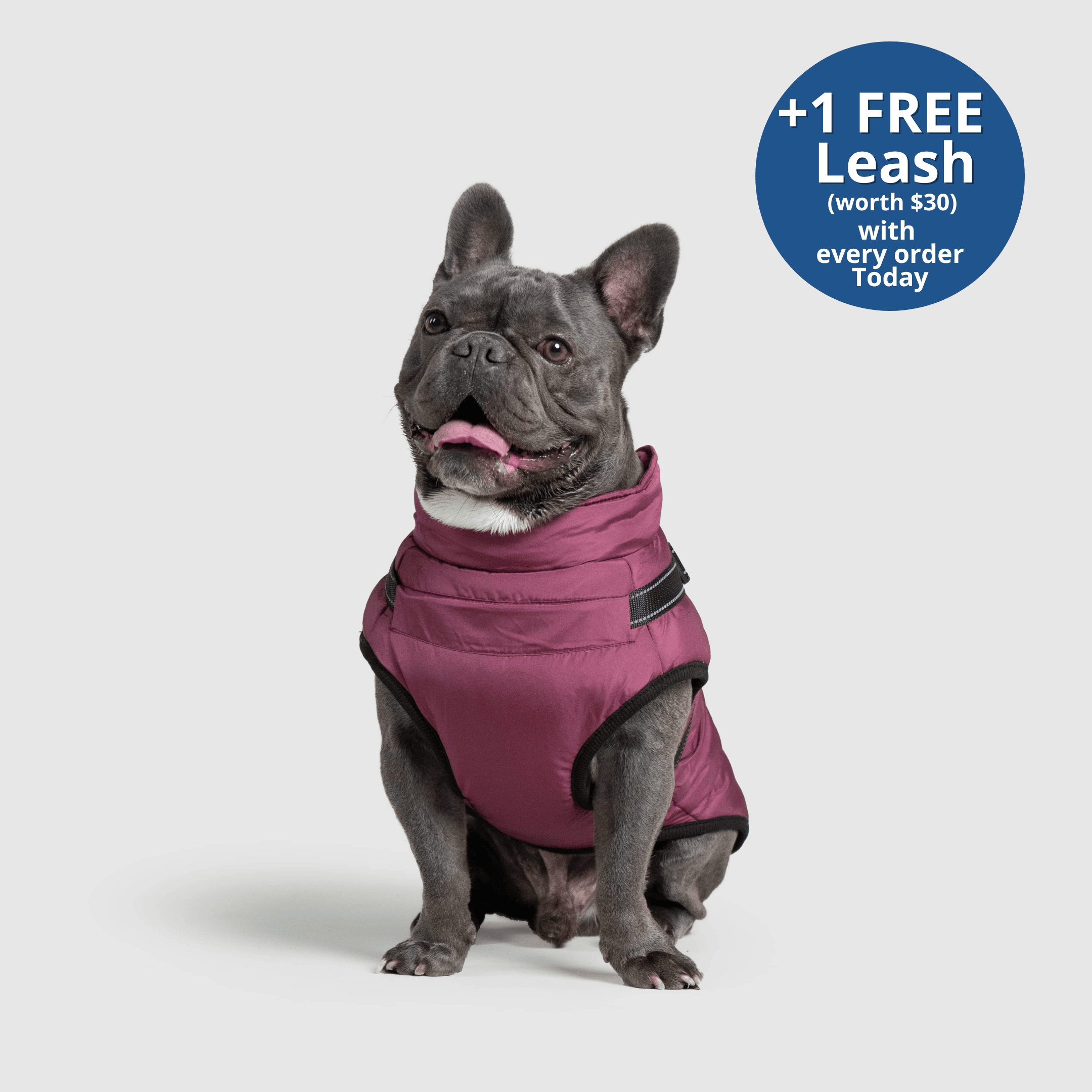 PoochBark™ 3 in 1 Winter Jacket (+1 FREE Leash)