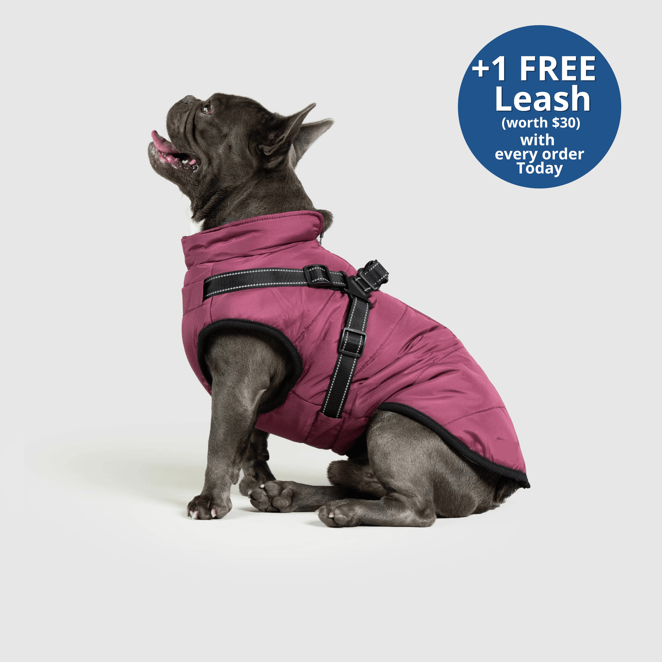 PoochBark™ 3 in 1 Winter Jacket (+1 FREE Leash)