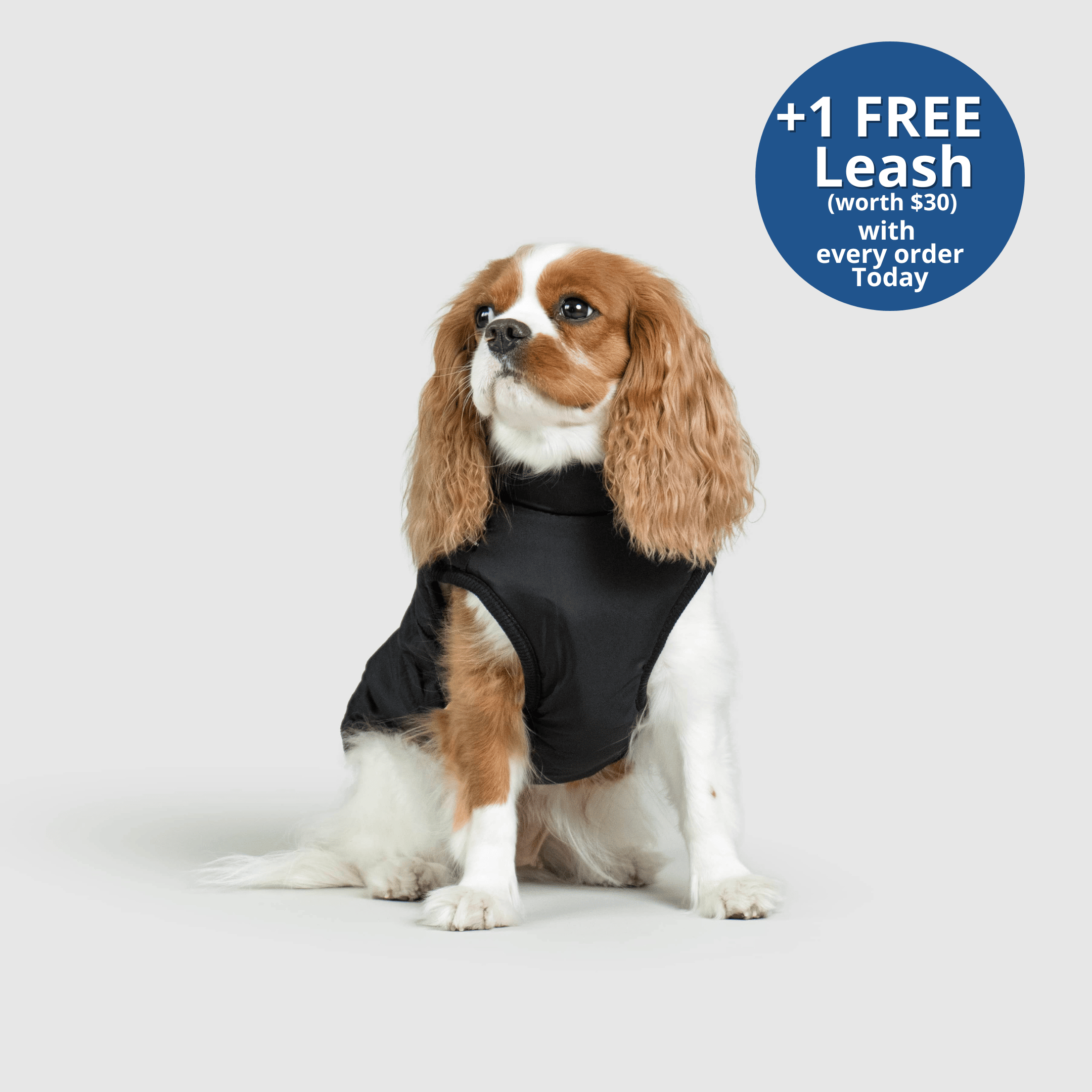 PoochBark™ 3 in 1 Winter Jacket (+1 FREE Leash)