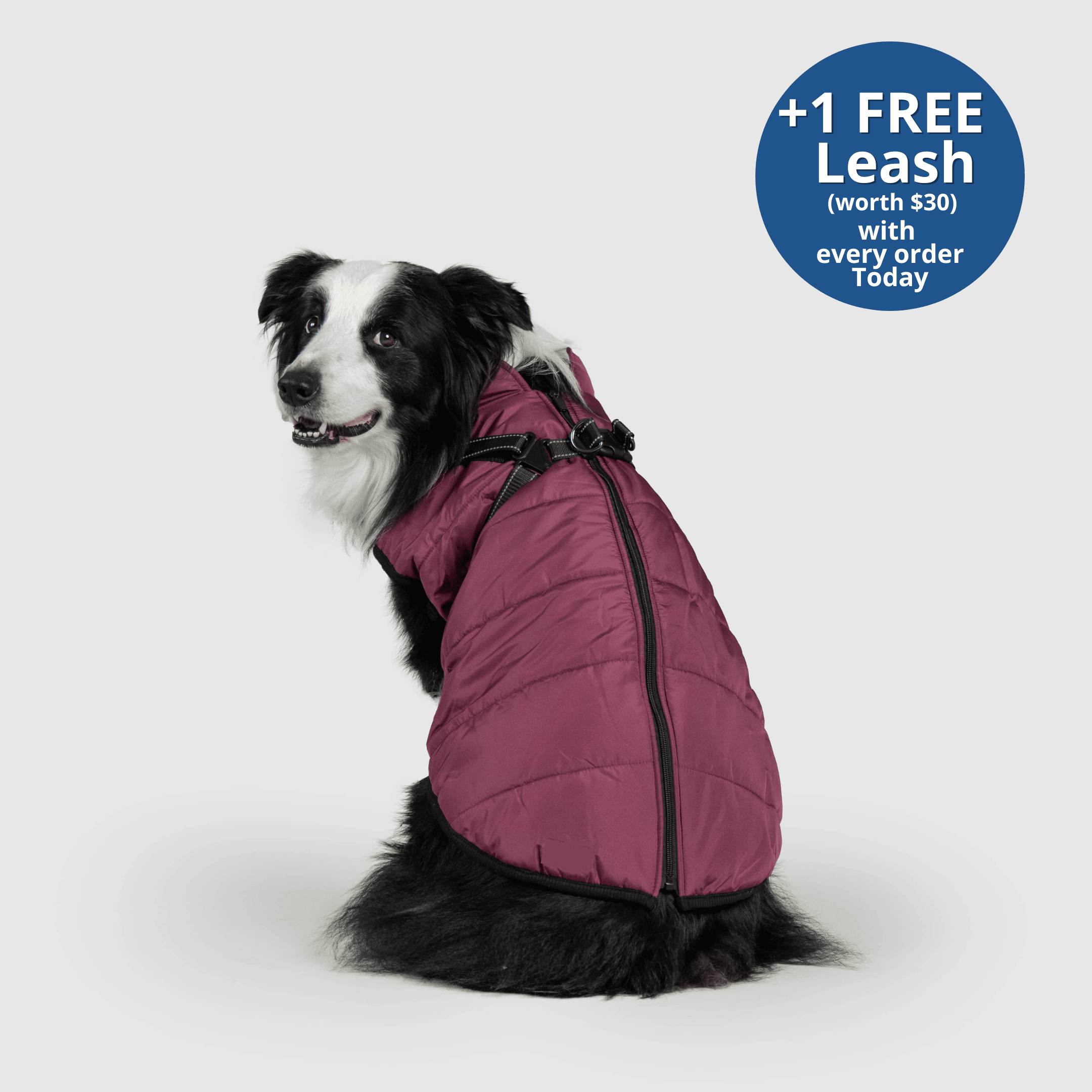 PoochBark™ 3 in 1 Winter Jacket (+1 FREE Leash)