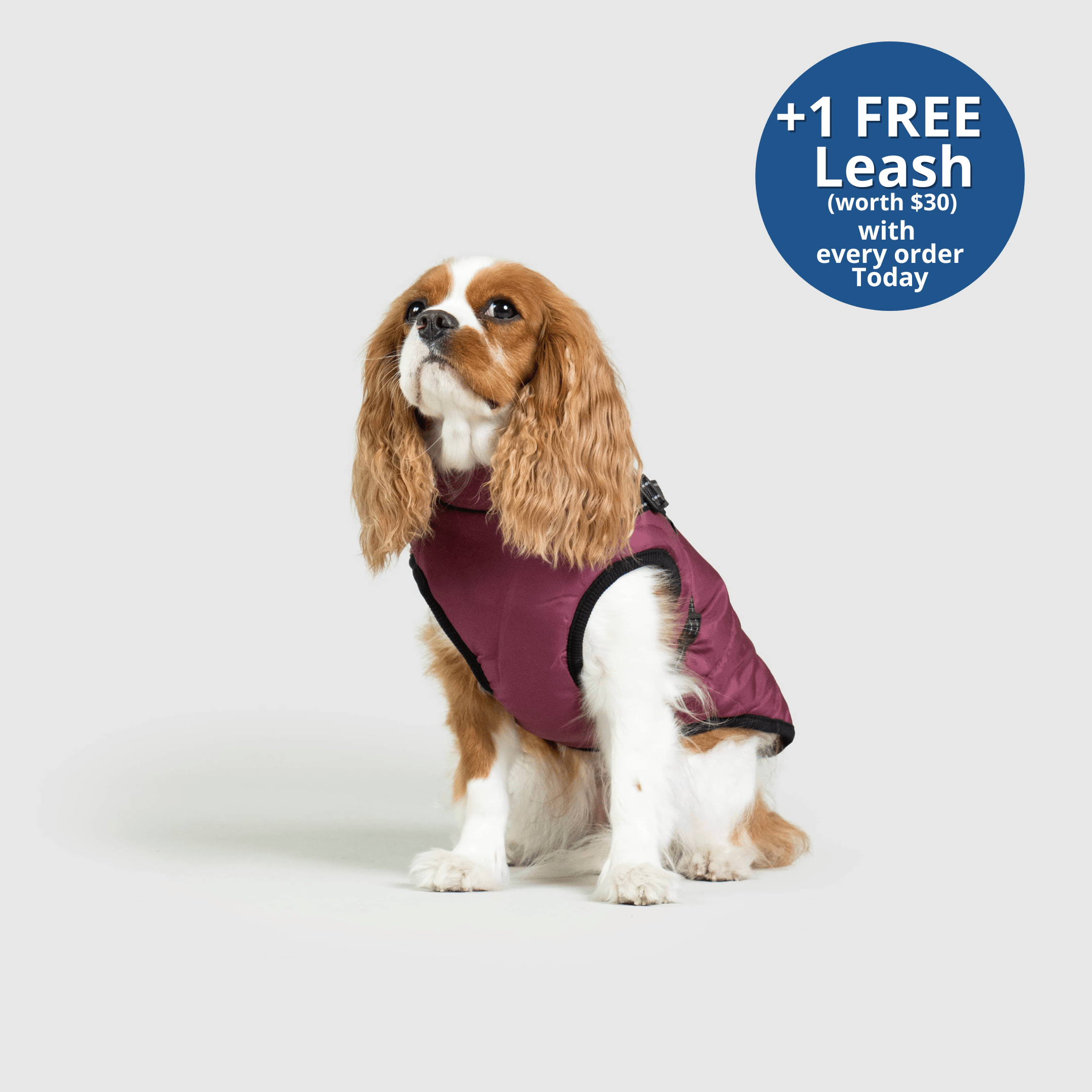 PoochBark™ 3 in 1 Winter Jacket (+1 FREE Leash)