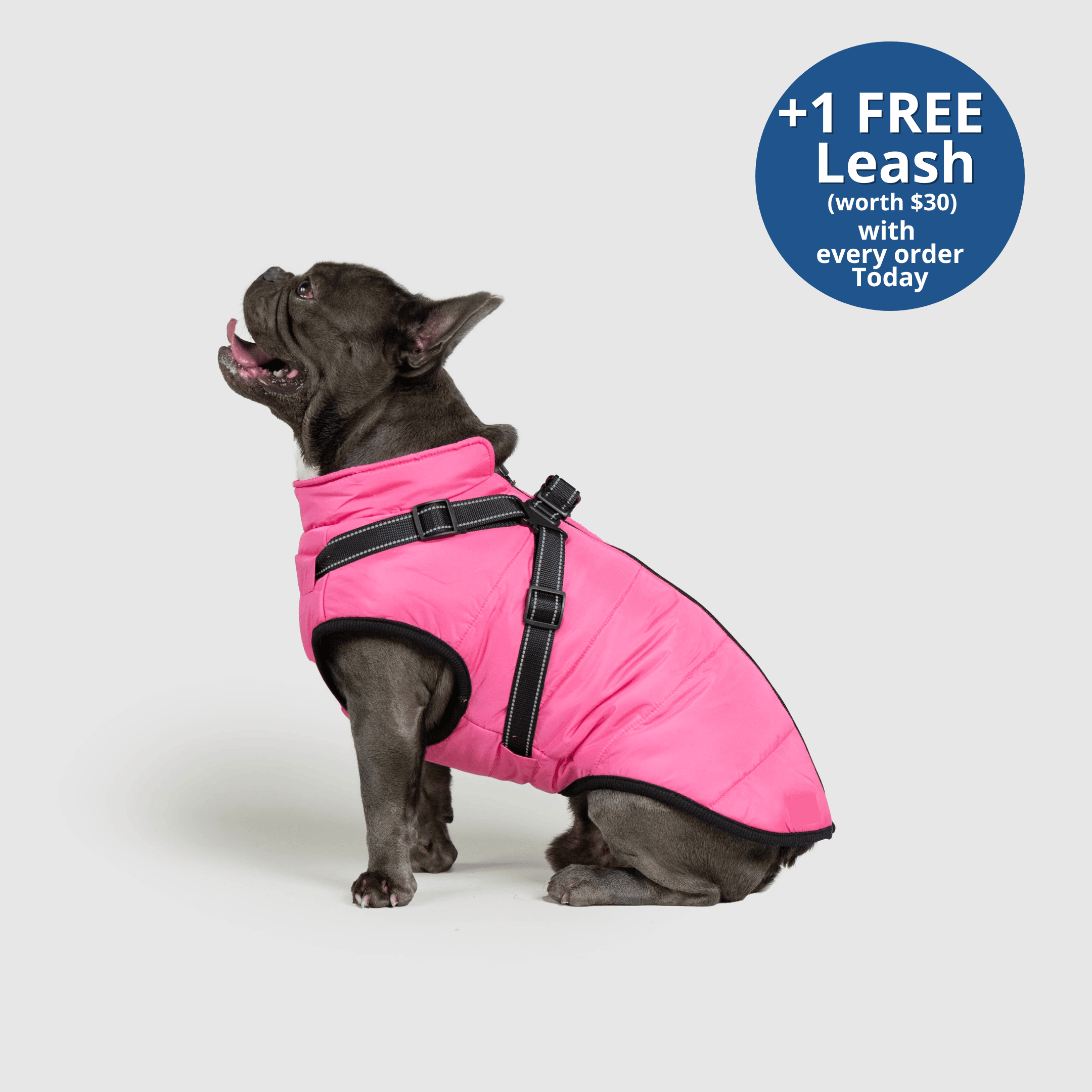 PoochBark™ 3 in 1 Winter Jacket (+1 FREE Leash)