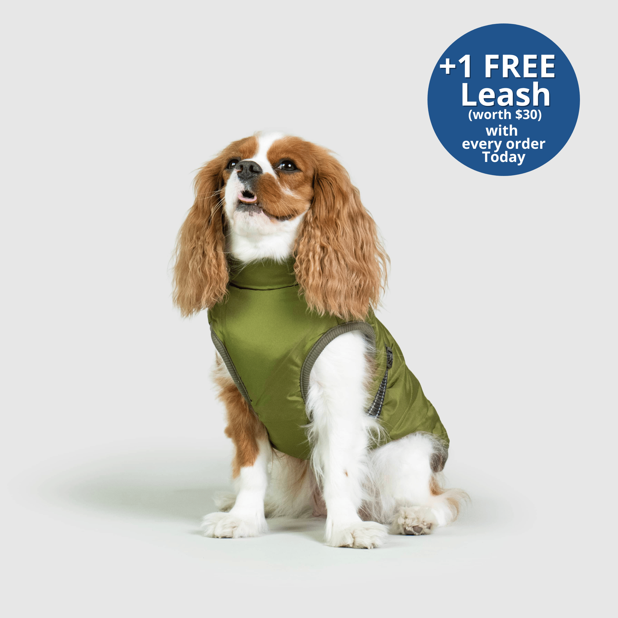 PoochBark™ 3 in 1 Winter Jacket (+1 FREE Leash)