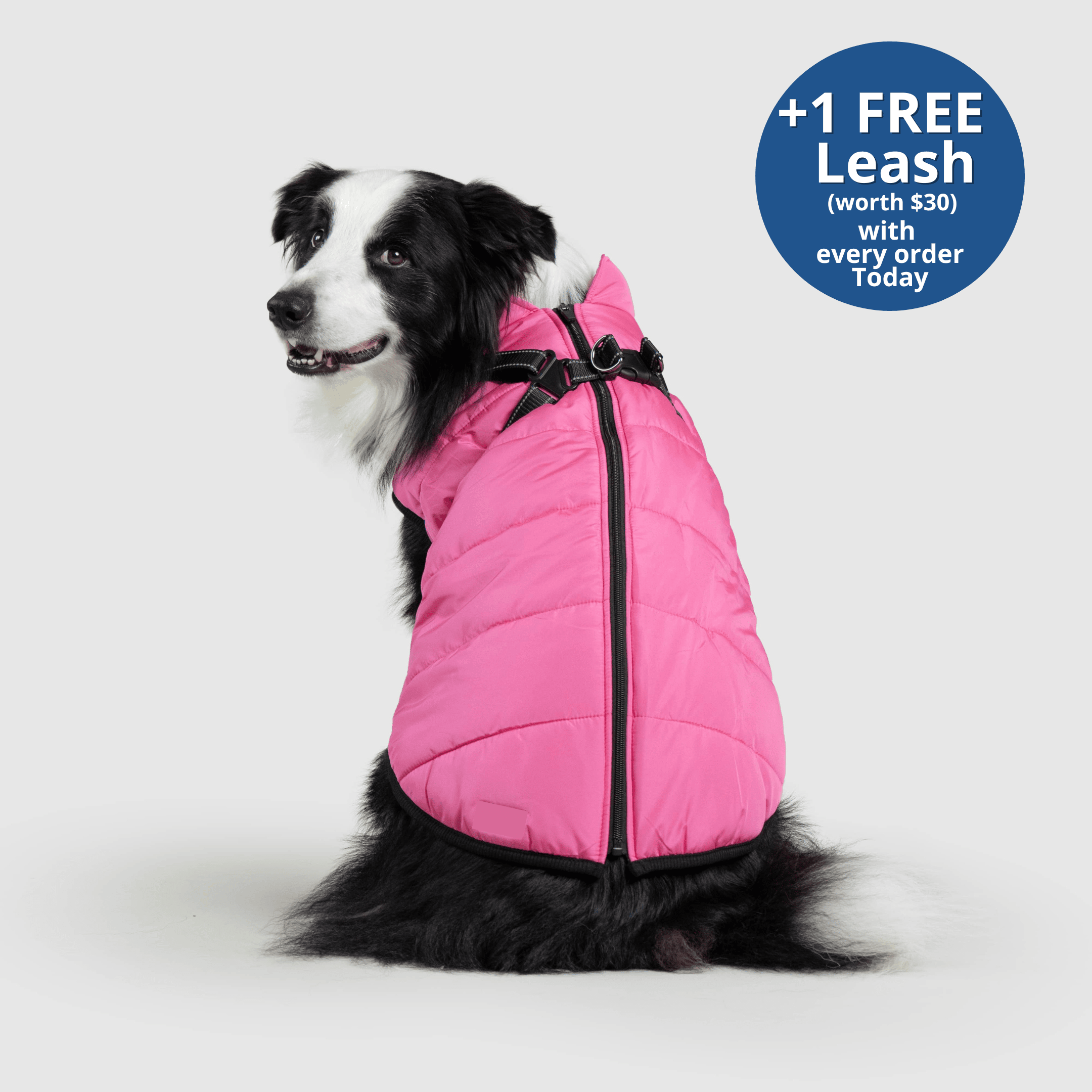 PoochBark™ 3 in 1 Winter Jacket (+1 FREE Leash)