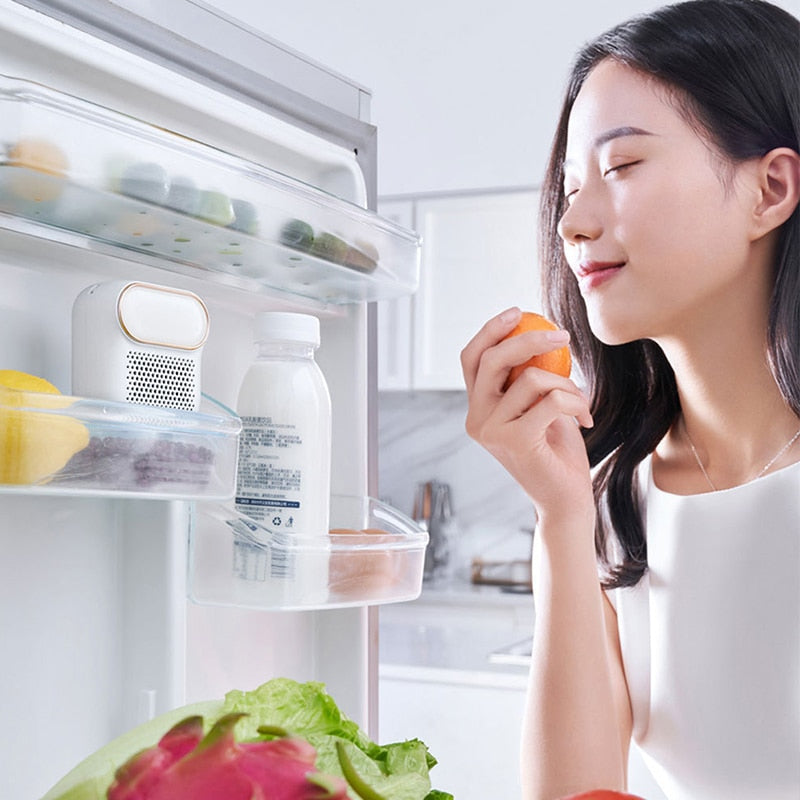 Fridge Deodoriser™ - Houdt je koelkast altijd fris en schoon